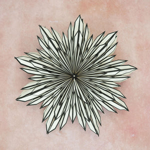 Giant Gazania Wall Decoration - 70cm