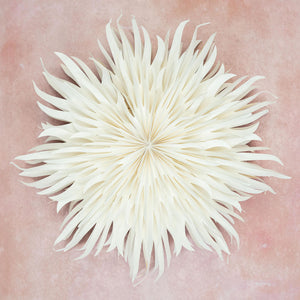 Giant Peony Wall Decoration - 70cm